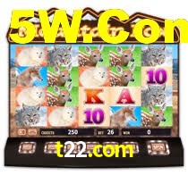 t22.com: Seu Cassino Premiado com Pagamentos Rápidos